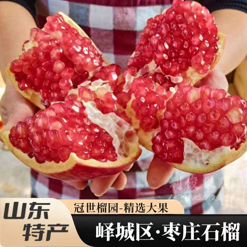 【山东枣庄石榴】新鲜现摘冠世大马牙冠世榴园特大薄皮硬软籽甜石榴