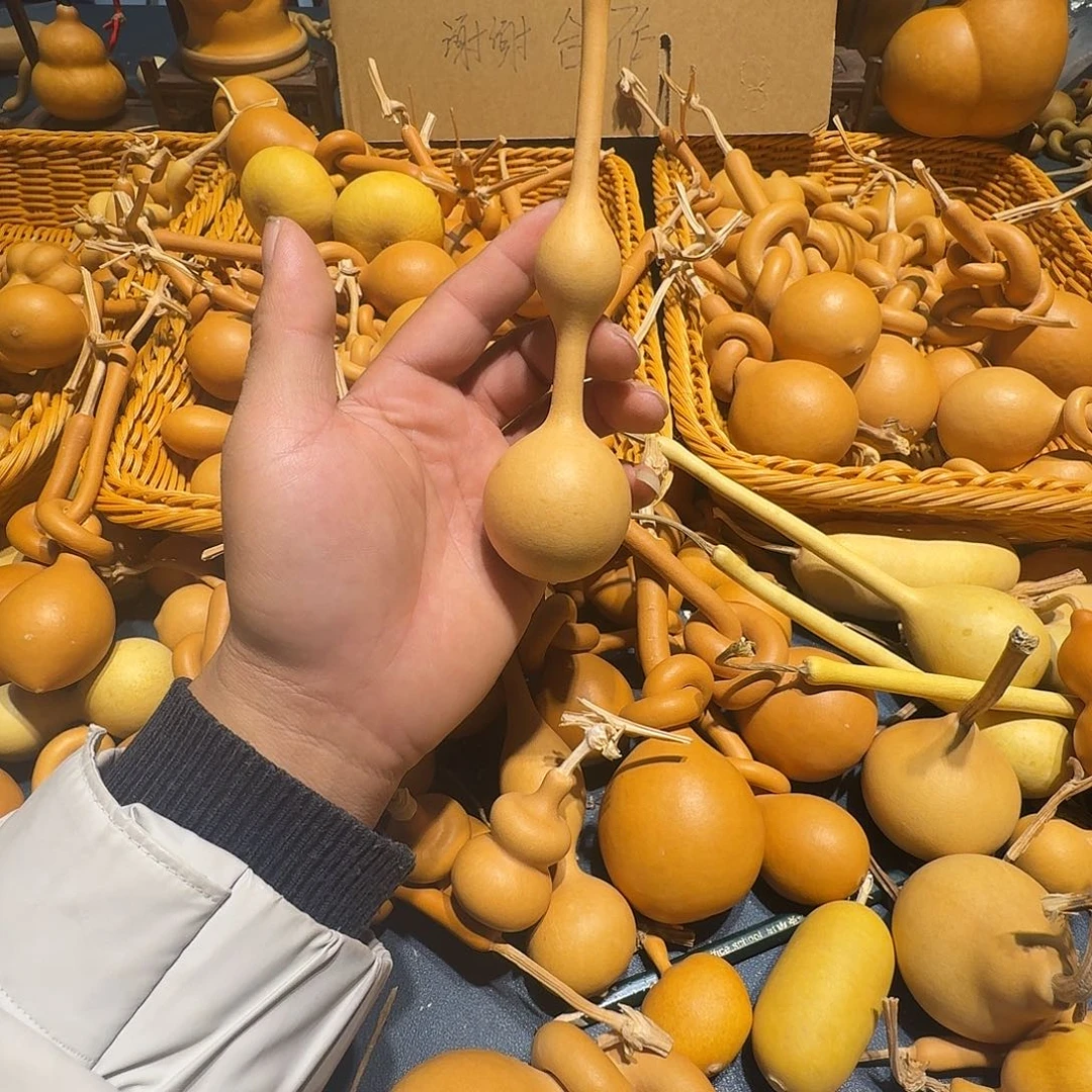 茜***主葫芦科动物大红尾雉