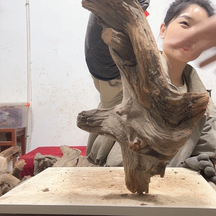 柏木木****店我们的生活也