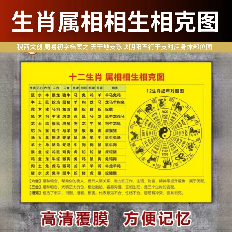 [易学资料]12生肖相生相克图信纸国学资料塑封防水款研究教程书表