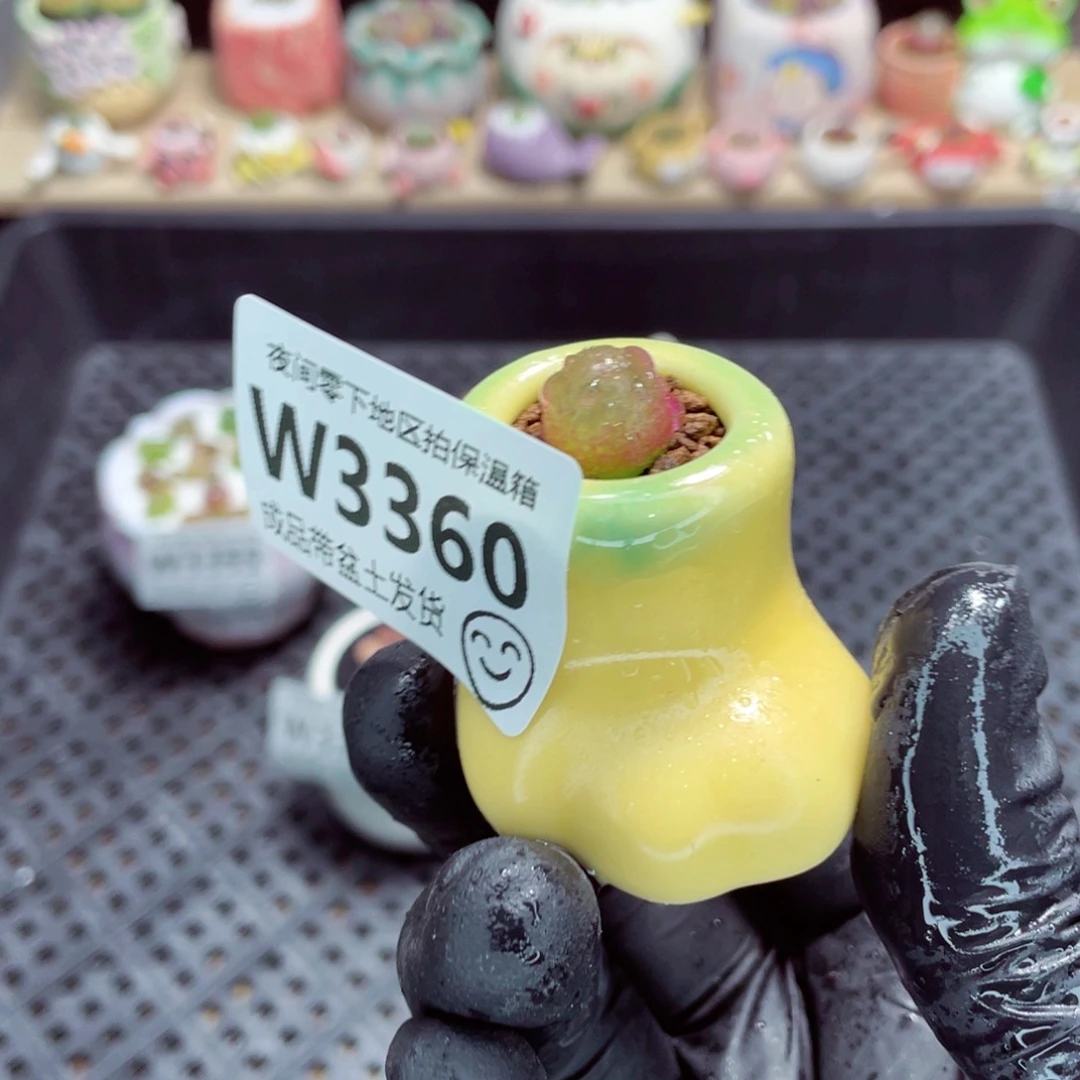 夜间零下地区拍保温箱w3360