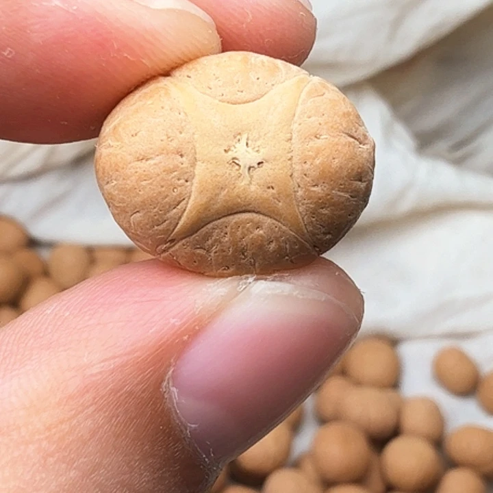 爱***说树脂制品19麒麟单籽，一物一图