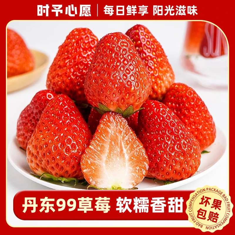 时予心愿丹东99草莓1.8斤新鲜水果产地直发