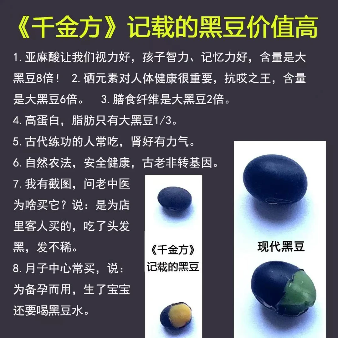 小黑豆- 中西医共同选择中药肾形黄心黑豆豆浆