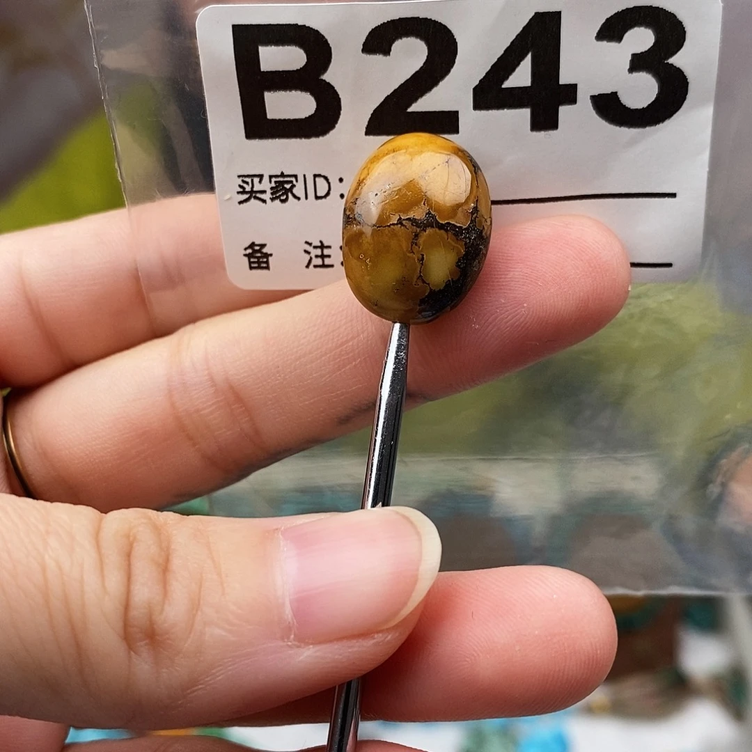 绿松石未镶嵌原矿