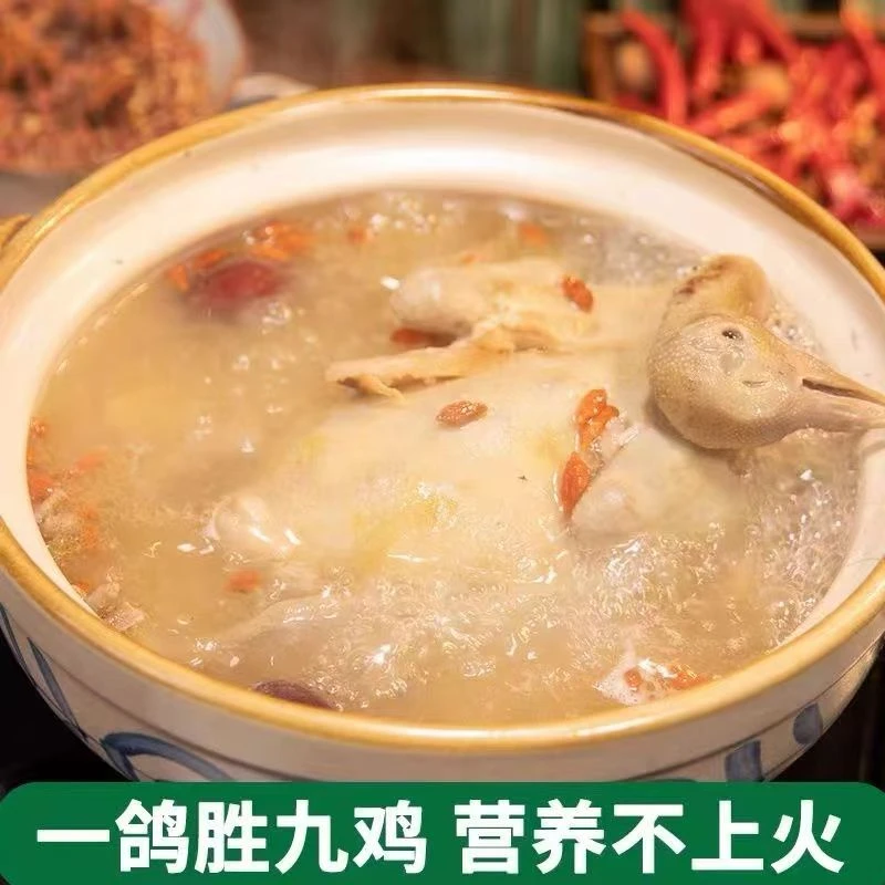 【拍5送1】农家散养土鸽子新鲜现杀 带内脏急冻锁鲜