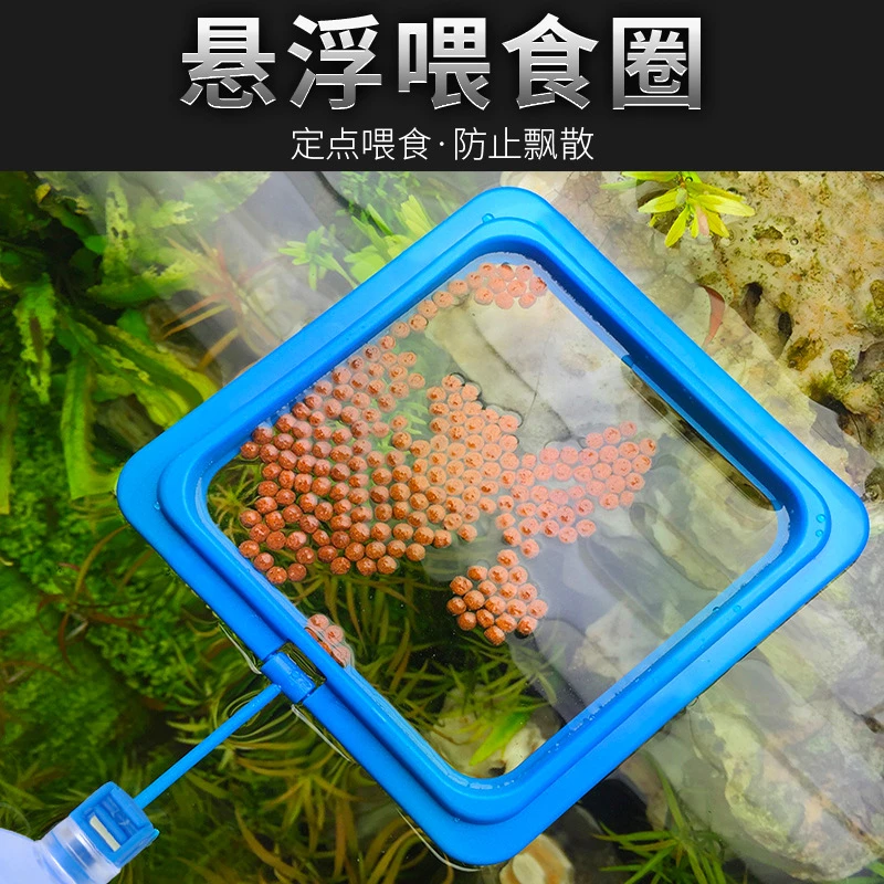 悬浮喂食圈黑色喂鱼投食圈悬浮喂鱼神器投喂漂浮小鱼家用