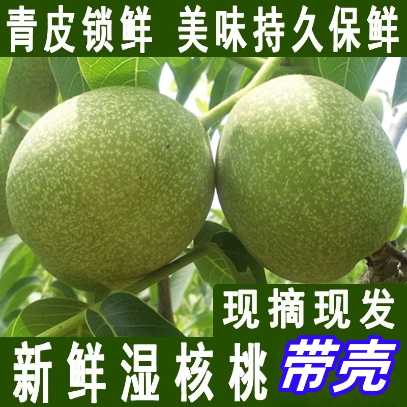 大凉山新鲜带青皮湿核桃营养美味带皮现摘现发