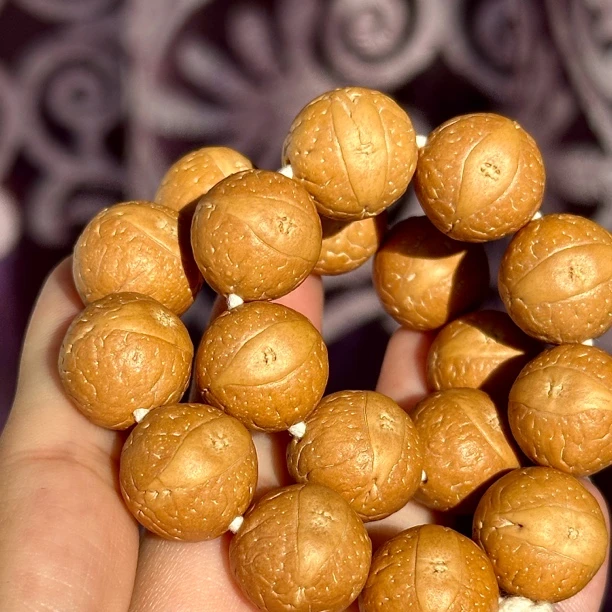 14尺寸大眼睛 皮质细尼泊尔凤眼