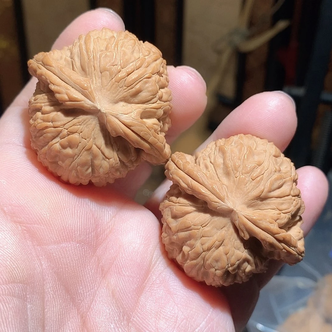 文玩核桃把件44白狮子全品