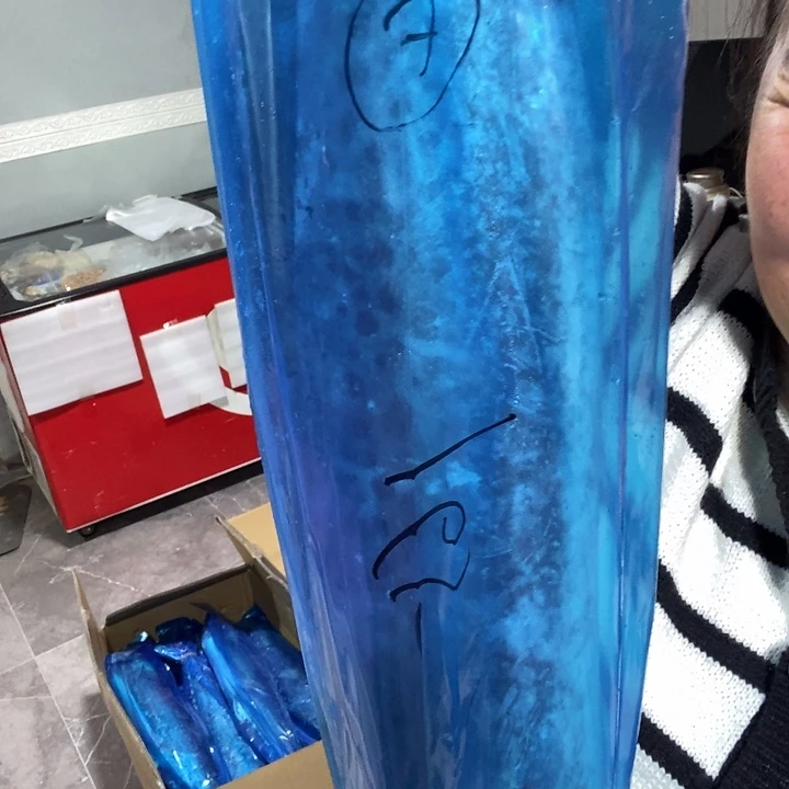 平***静中国大陆渤海湾野生燕鲅鱼4号