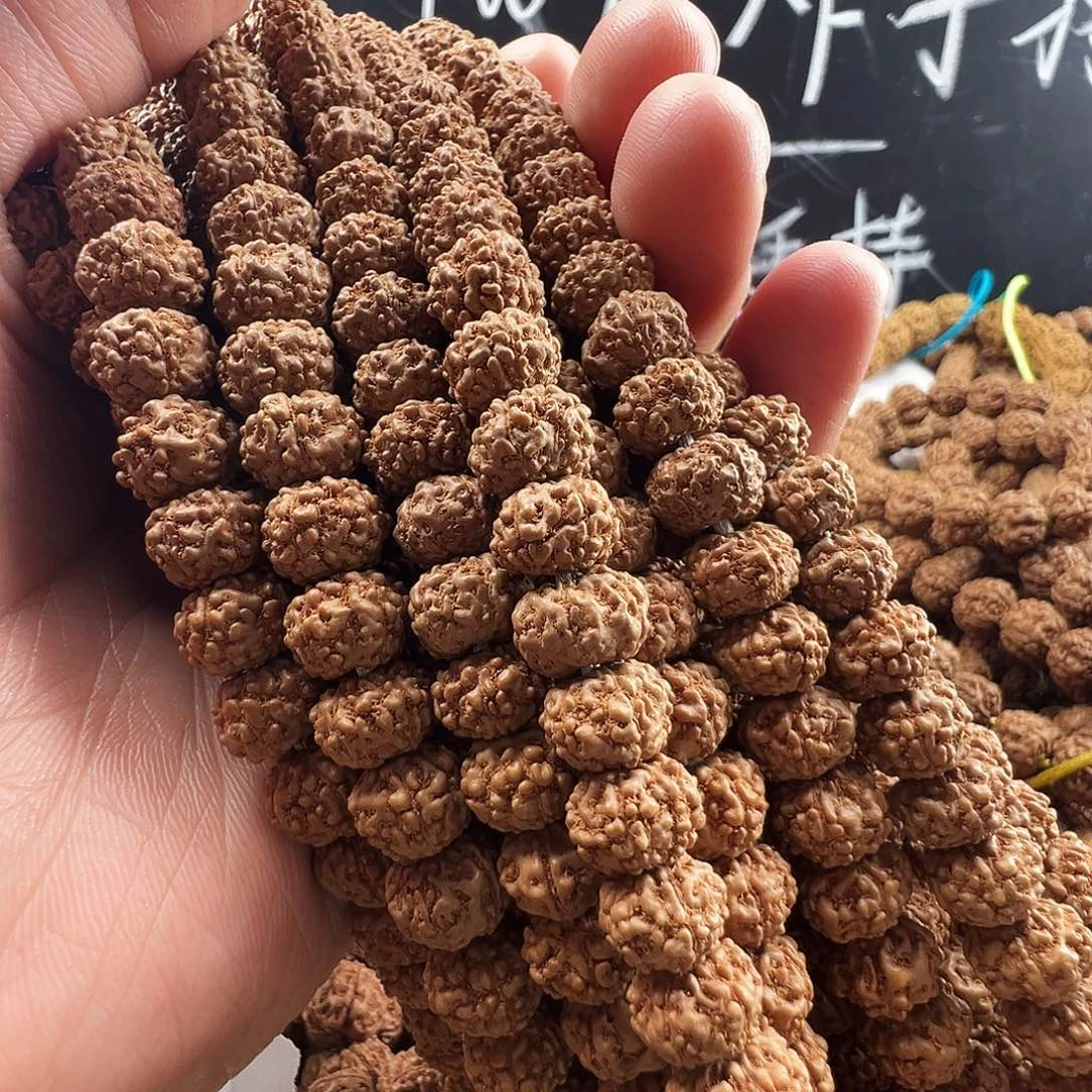 吊坠金刚菩提9m树祖