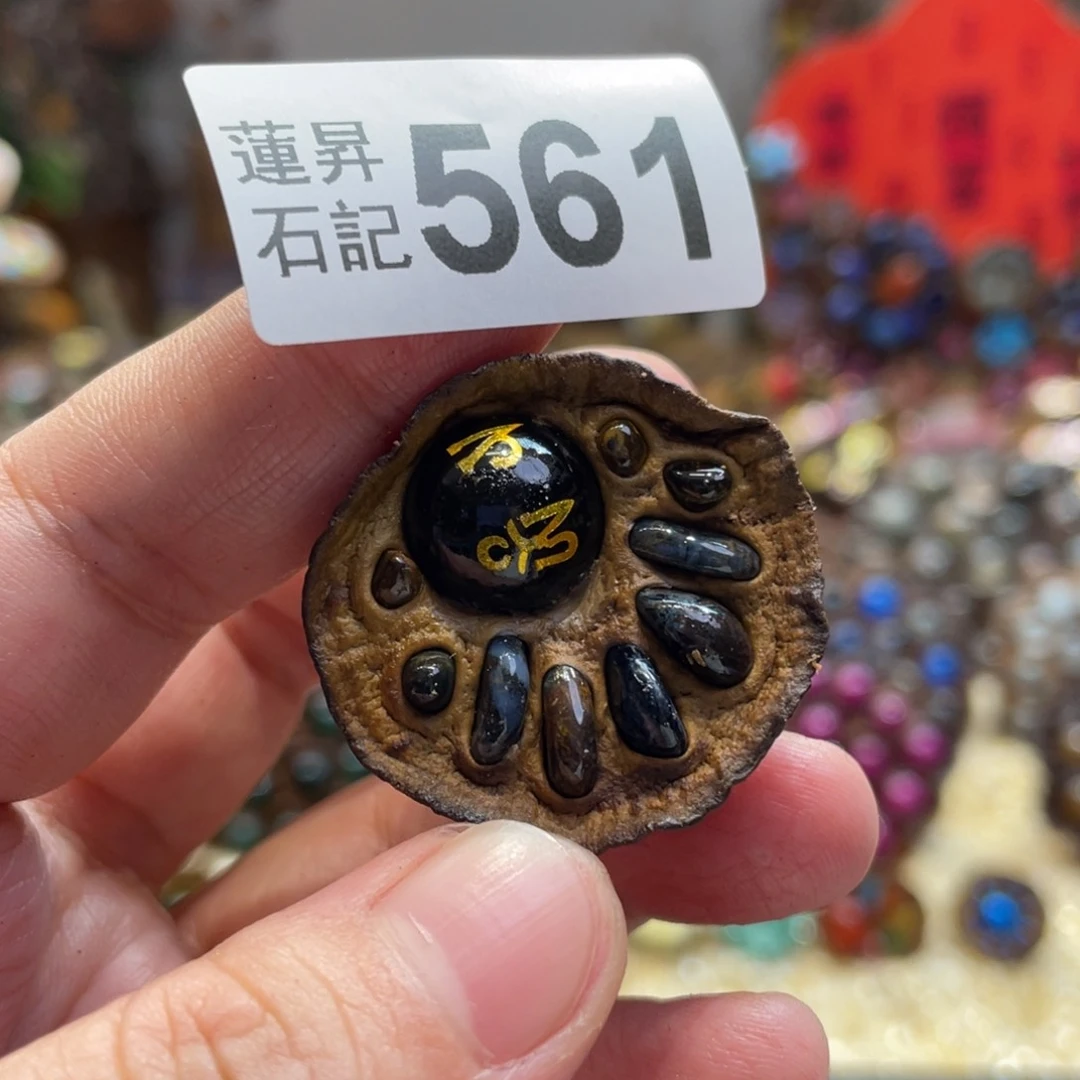 核桃木/黑胡桃（胡桃木）561