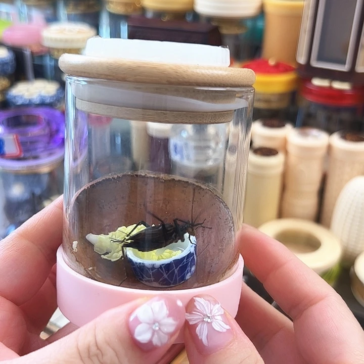 哈哈哈生态罐带麒麟