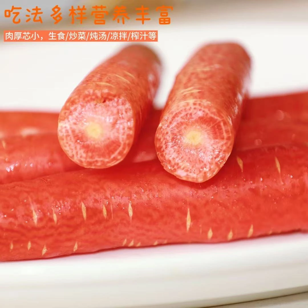 （25年新果）水果红萝卜-现挖鲜发沙地人参果-生吃脆甜蔬菜辅食代餐