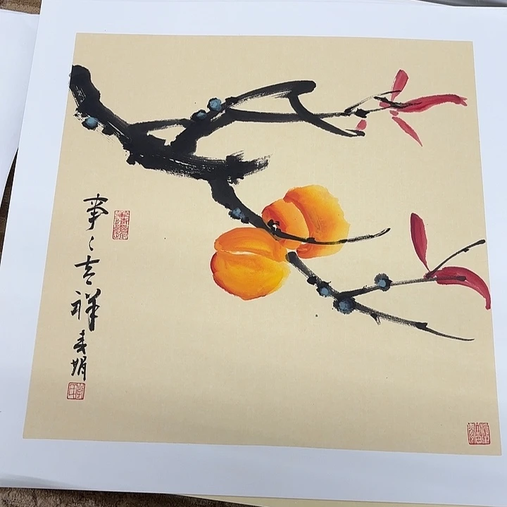 国画轻*花鸟的翅膀和翅膀都是白色的