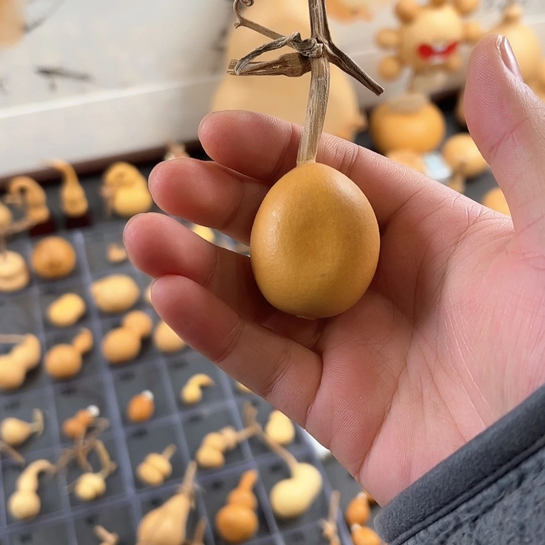?***师葫芦娃的时候我也是醉