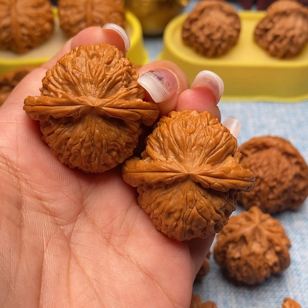 文玩核桃把件毕业白狮子39尺全品