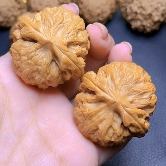 文玩核桃红锦鲤一对
