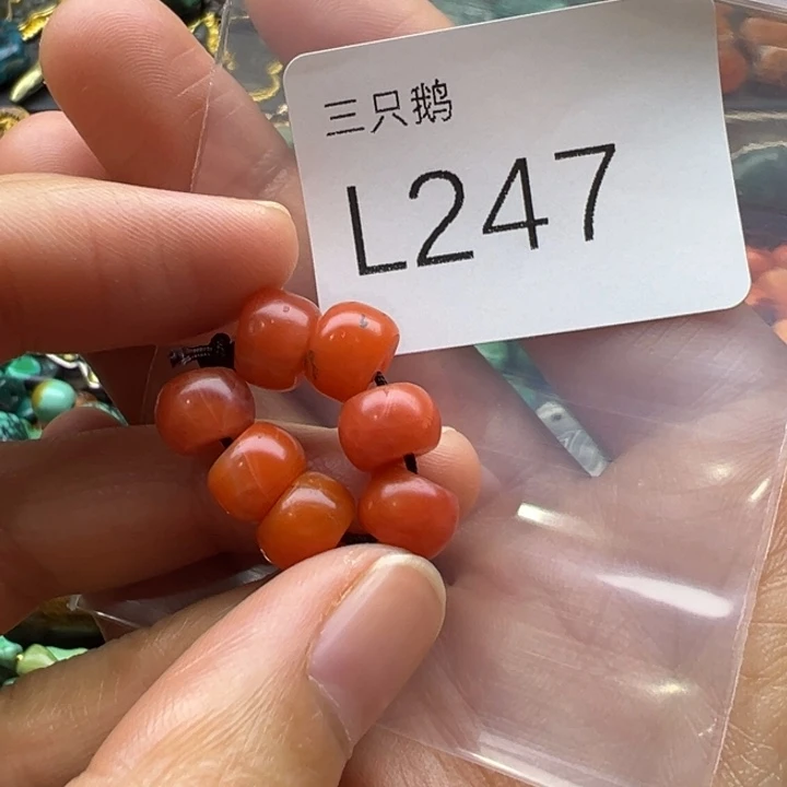 吊坠菩提根/象牙果