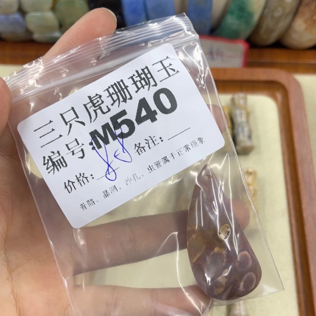 喵***！硅化珊瑚（珊瑚玉）h未镶嵌