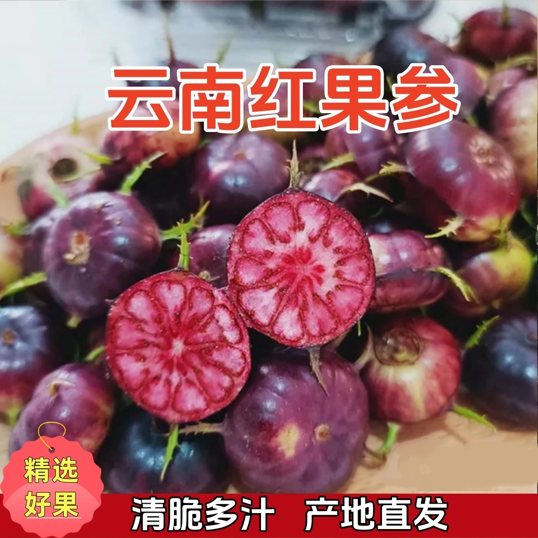 云南红果参蜘蛛果新鲜现摘产地直发