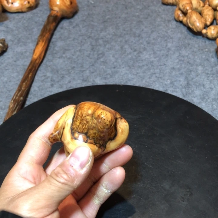 柏木（崖柏）新****落崖柏11