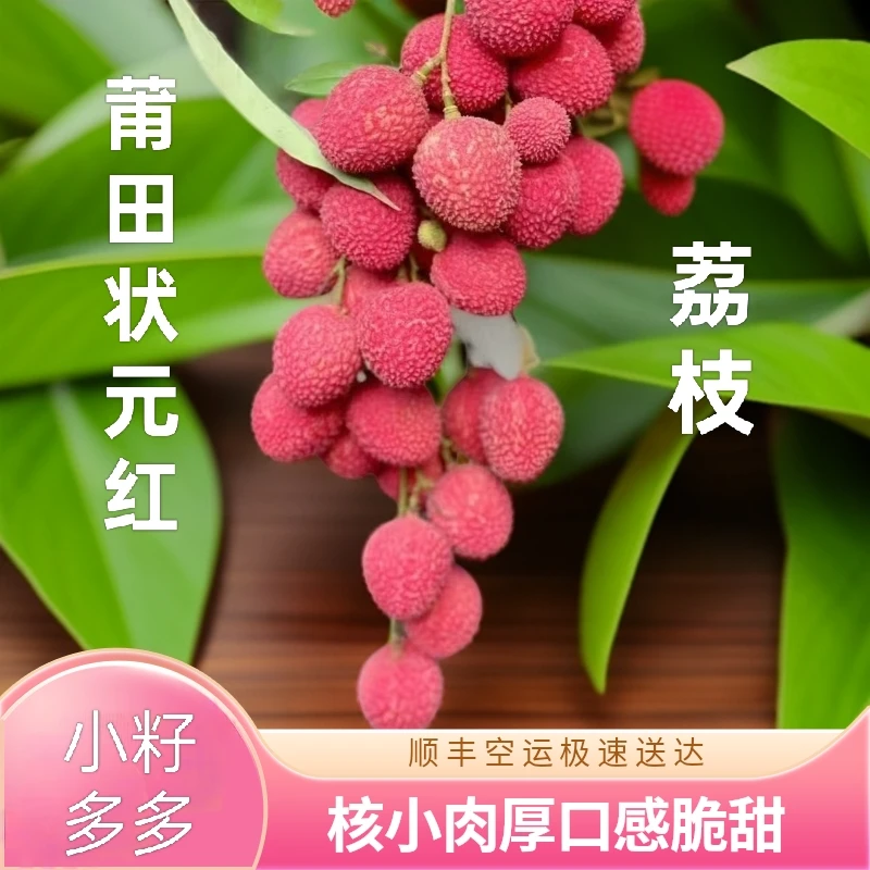 【阿清专属】顺丰空运特快正宗本地状元红古荔枝新鲜核小肉厚脆甜