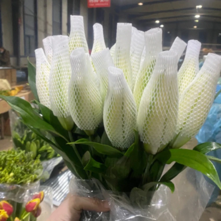 【拉菲重瓣】香水百合东北基地发货顺丰包邮