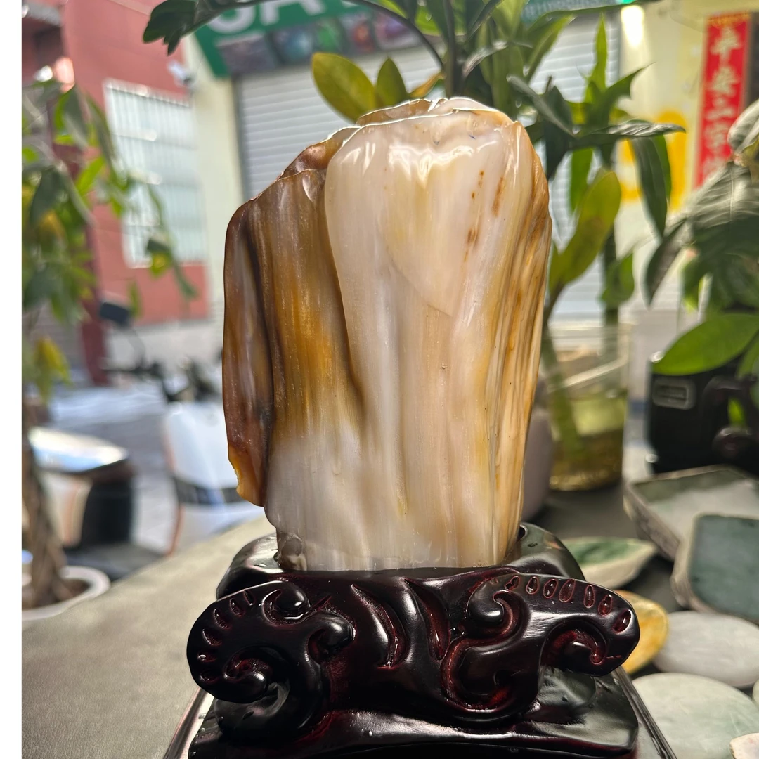 天然木化石硅化玉高31Cm重16.8斤