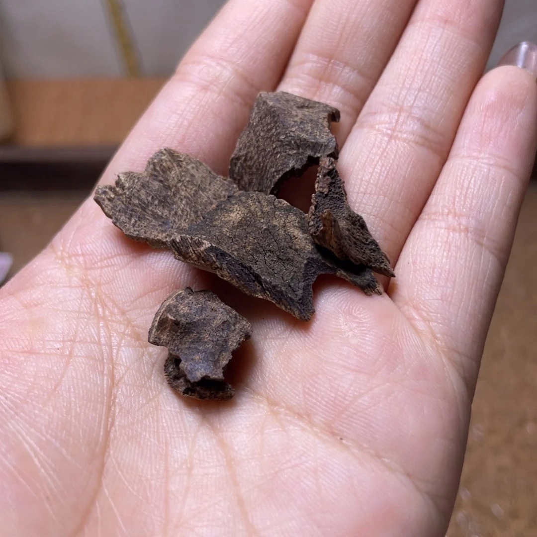 香榧木一****）海南霸王岭淳化老包头2g福利