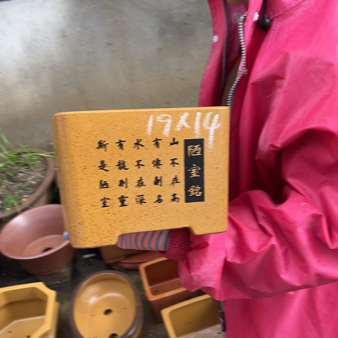 紫砂花盆盆景艺术