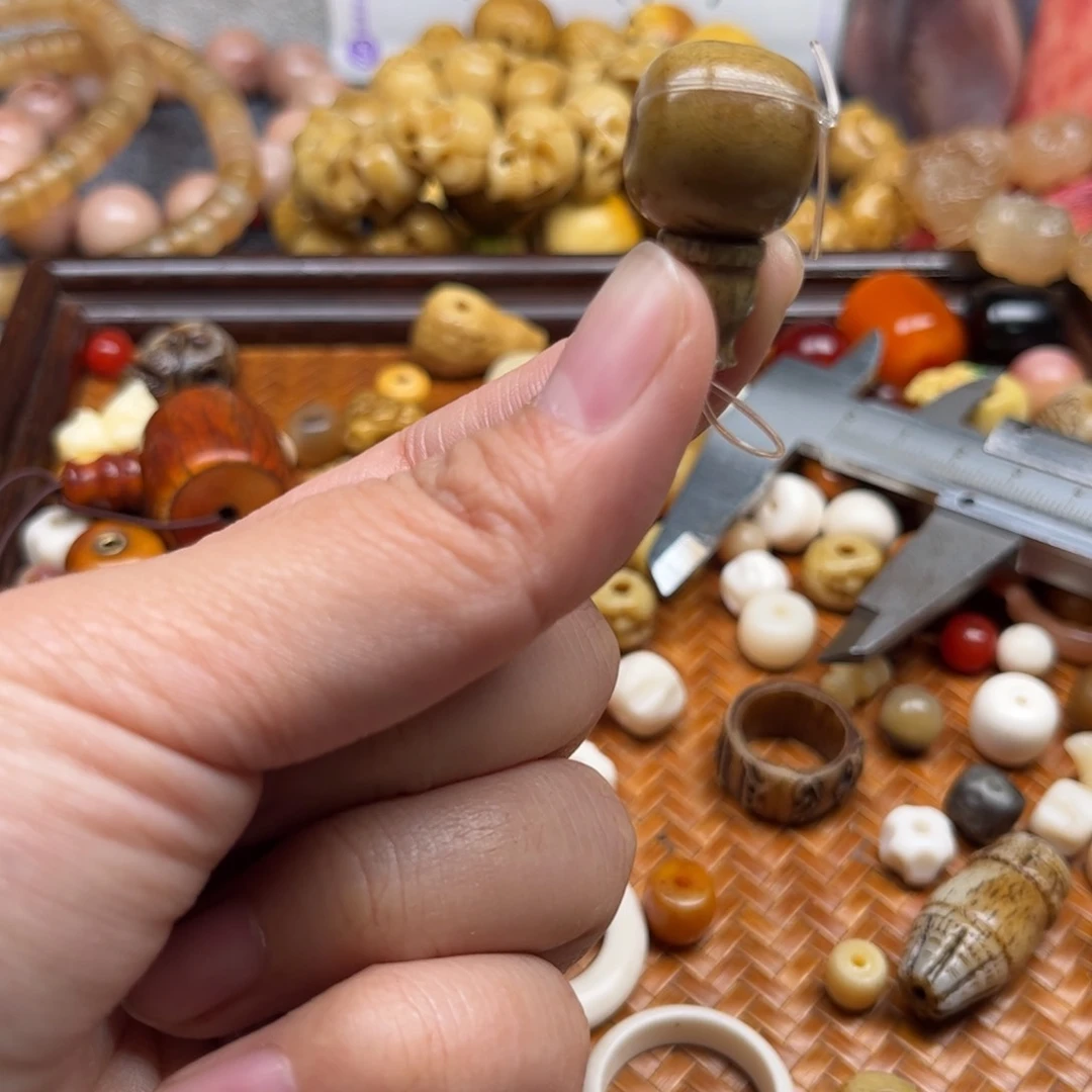 鹿骨其他人工养殖驼骨19