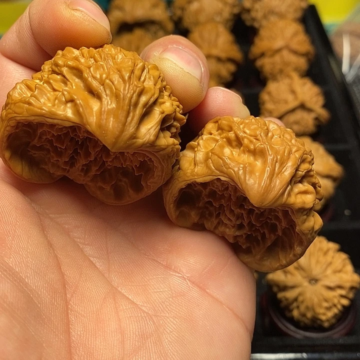 把件文玩核桃41尺官帽蛇头