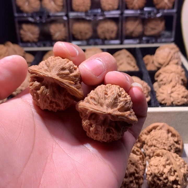 努***鱼龙脊菩提吊坠全品宫灯