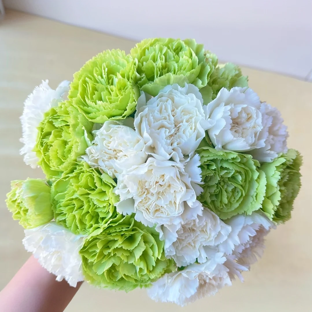 薄荷冰康乃馨绿白康乃馨混搭夏日小清新搭配颜色母亲节送妈妈朋友