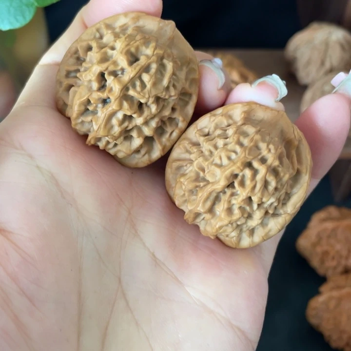 核桃把件秦岭核桃的品种繁多