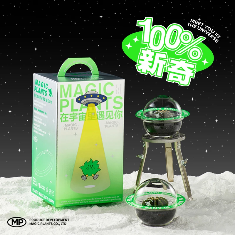 神奇植物-星兜多肉仙人球桌面办公室内四季耐养植物盆栽微景观