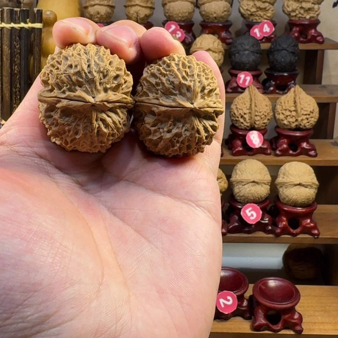 旺***仔铁核桃把件臻龙铁绣球