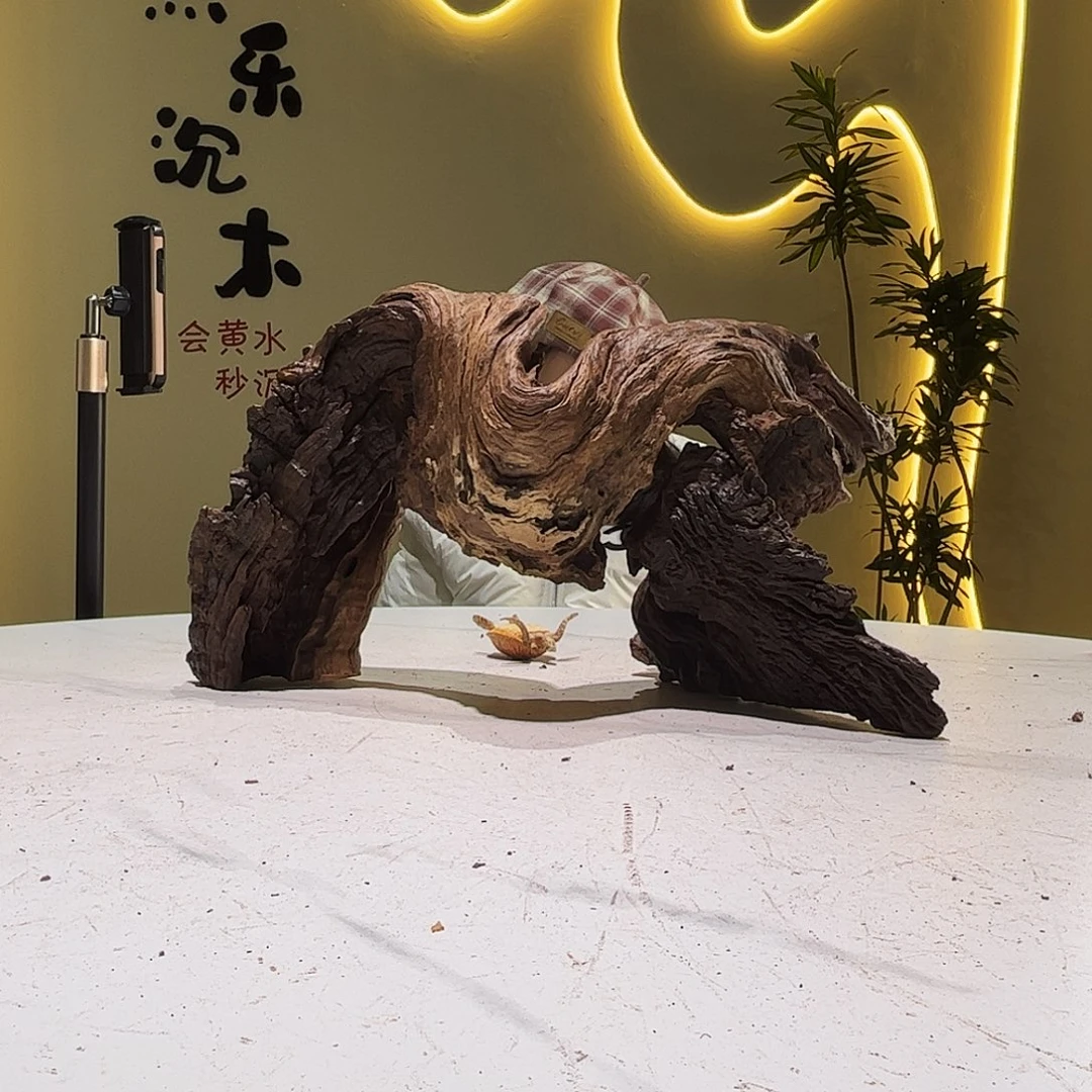 瓦当啊***记会黄黑红水961。44 26 22