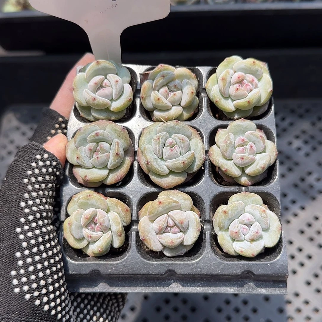 101哈哈哈哈哈哈哈哈