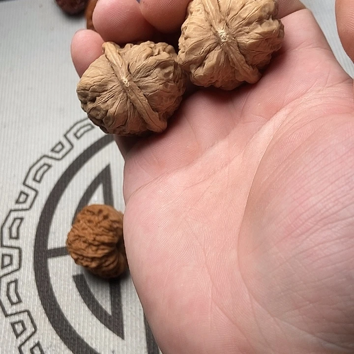 -***…核桃和苹果在一片荒木