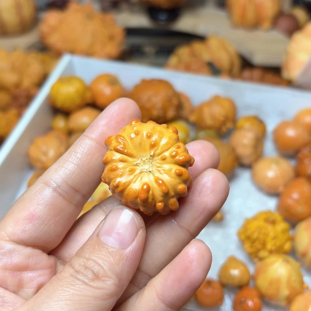 芝***圆特价葫芦不退不换