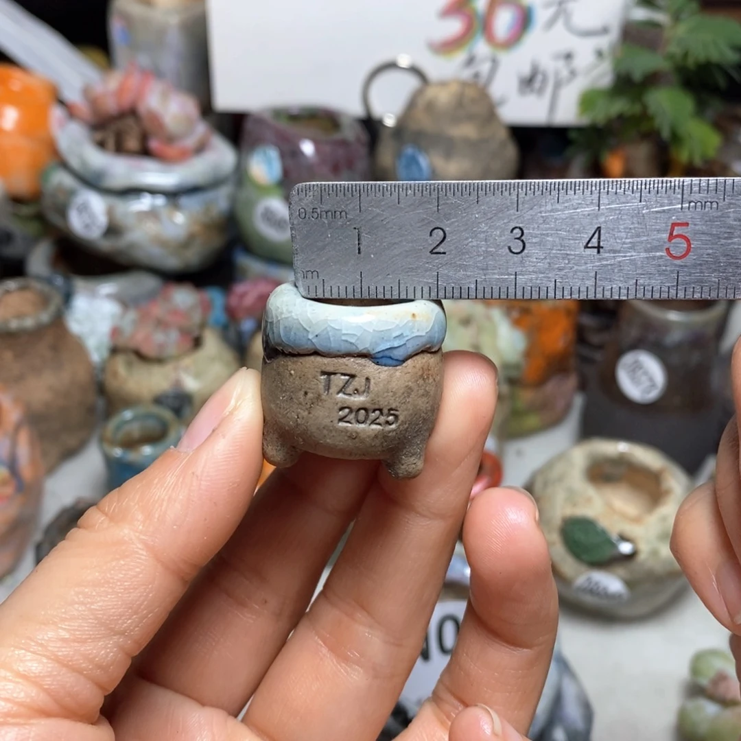 包****F花盆拍3送一个小礼物