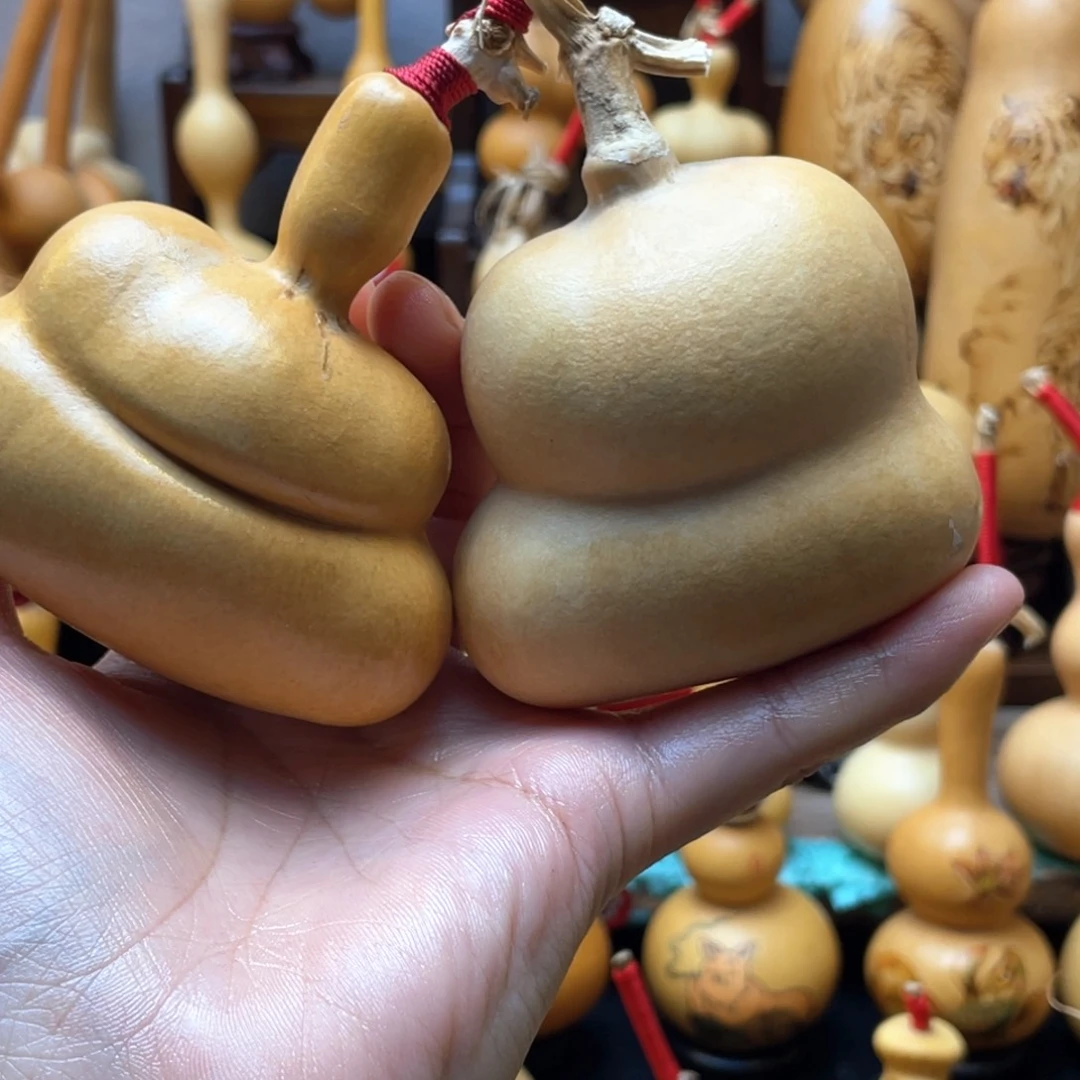 大自然的秘密第十一节你是谁