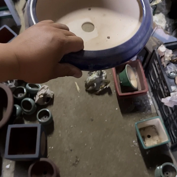 这几句真的好好啊哈哈