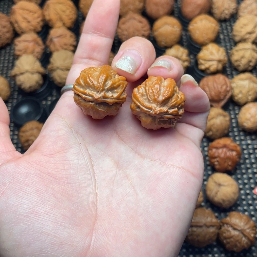 杨***嘞文玩把件野生娃娃鱼