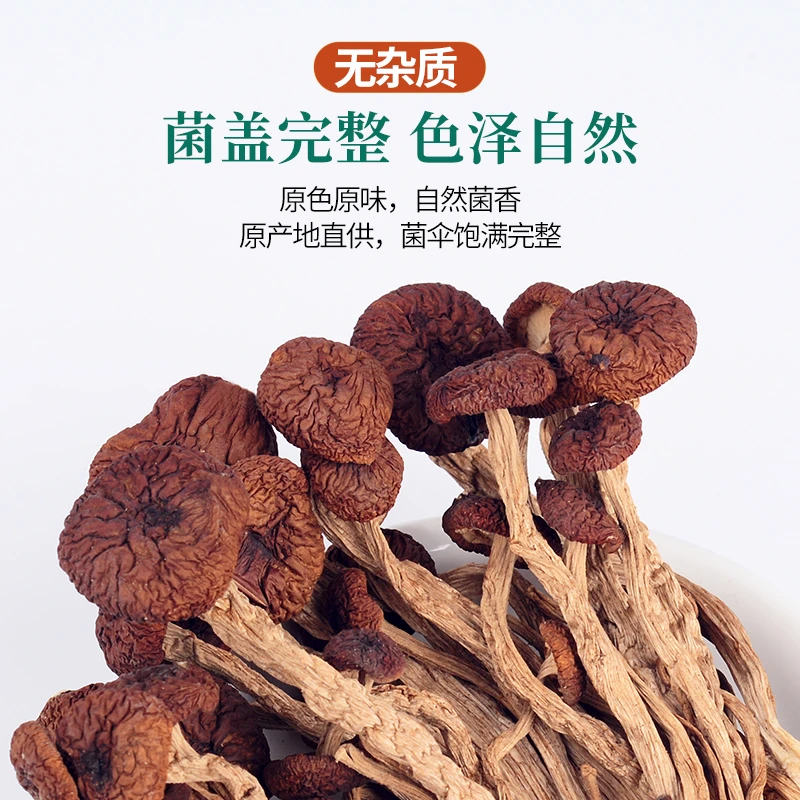 十堰武当神农架特产干货优质无硫新货不开伞茶树菇