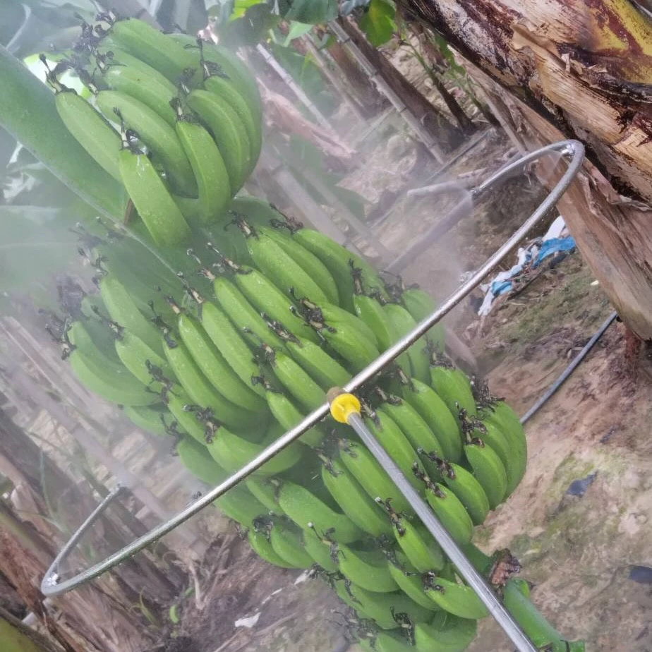 环形开口喷头膨胀香蕉猕猴桃百香果黄瓜圣女果喷雾器大号儿童车