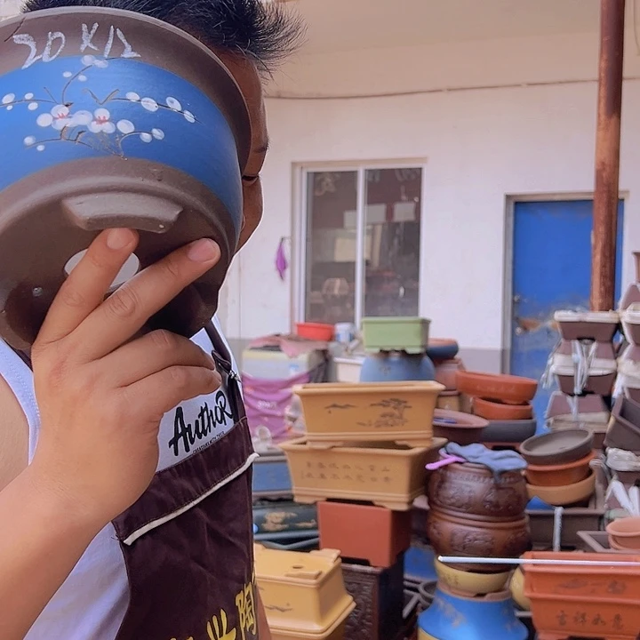 紫砂花盆紫砂花盆